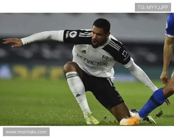 鲁本洛夫图斯奇迹崛起重新定义中场力量与英伦斗志 鲁本洛夫图斯奇迹崛起重新定义中场力量与英伦斗志